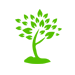 Category Icon